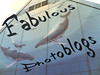 Join Fabulous Photoblogs Blogroll