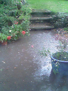 Flooded back garden