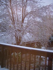 1st Snow 2006