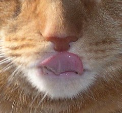 tongue-close