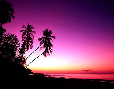 tropical-sunset