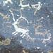 Petroglyphs beside the road on the way to Gilgit(2)