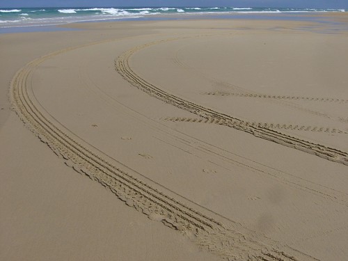 Fraser island tyre tracks