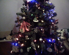 Christmas tree!