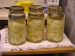 Canning Pears