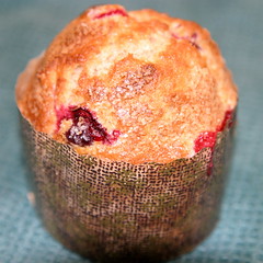 whole wheat cranberry muffin