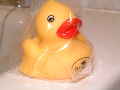 061122-duck004