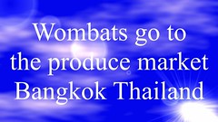 Wombats go to the produce market Bangkok