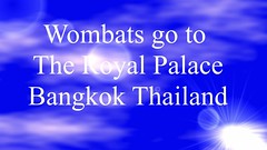 Wombats go to The Royal Palace