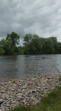 Wild Swimming on the River Wye