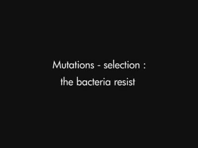 Mutasyonlar ve Doğal seçilim Bakteri Direnci