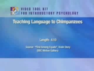 Dil öğrenen akıllı maymun