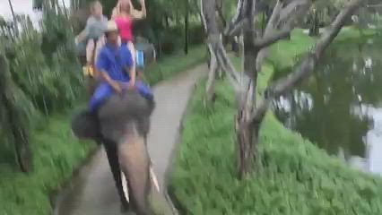 Video, Elephant Ride, Samphran Elephant Ground & Zoo, 117 Moo 6, Petkasem Rd, Sam Phran, Nakhon Pathom, Thailand.