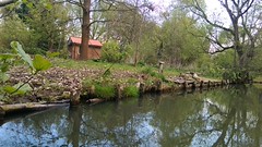 Germany. VIDEO Spreewald. Memories of a 2017 Spreewald vacation. It was overwhelming. Duitsland. VIDEO Spreewald.  Herinnering vakantie in Spreewald 2017.Het was overweldigend.