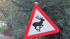 Reindeer sign with flashing red nose - Rose Hill, Lickey