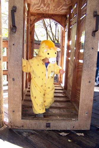giraffe_shipping_cage
