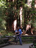 Ferf and Amy in the Redwoods