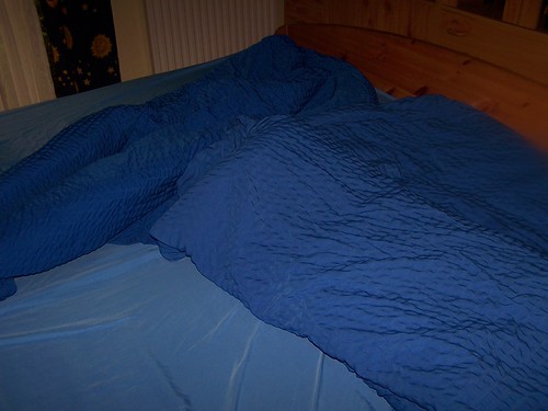 Blanket? Comforter? Duvet? Doona?