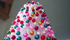 DSC06737