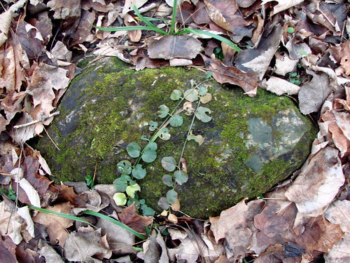 rock