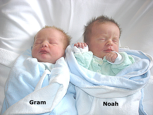 gram and noah sleep