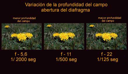 exposicion