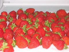 Strawberry Ice Cream - Before