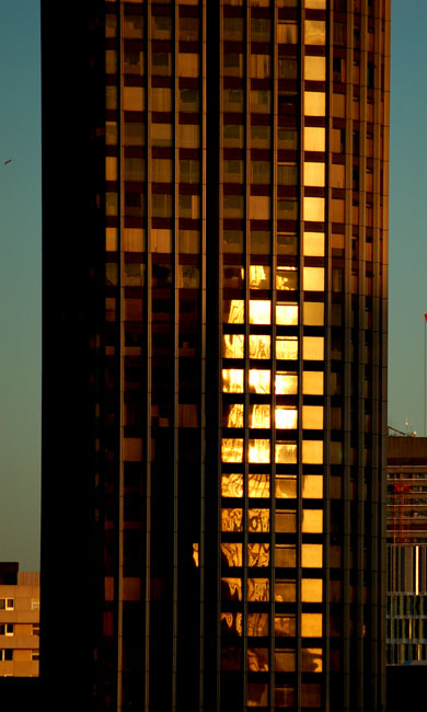 DSC_0032