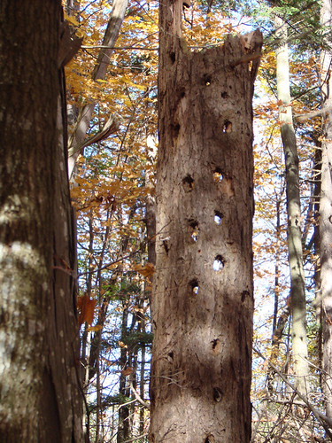 DSC02625.JPG