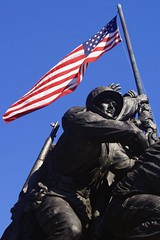 Veteran's Day
