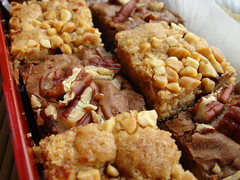 Pecan Brownies and Peanut Butter Saskatoon Berries Square