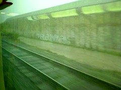 train ride