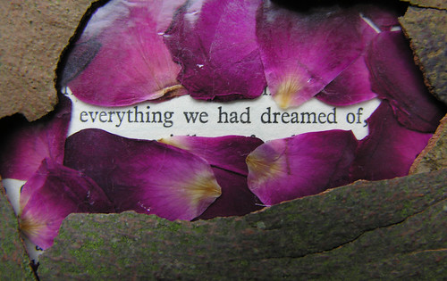 Everything we had dreamed of