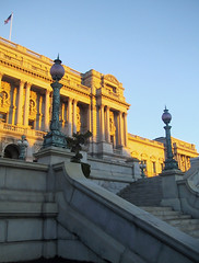 Library Steps