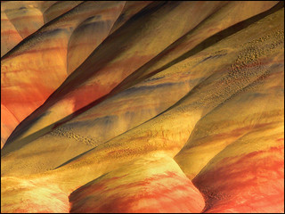 Painted folds