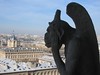 Notre Dame Cathedral Gargoyle and View of Paris