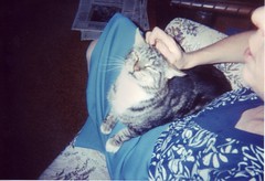 Sweety on Mom's lap