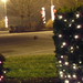 DSCN3056