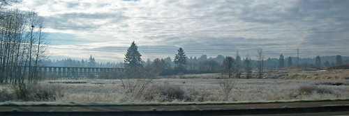 Frost
