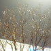 DSCN3018