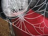 Frosted cobweb