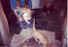 Me with Sparks and Speedy and Storm and Star on the front porch