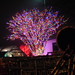 DSCN3057