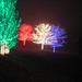 DSCN3043
