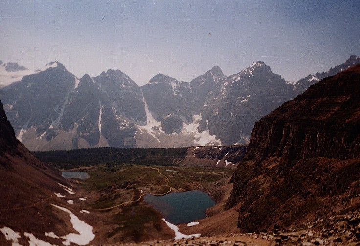 Larch Valley