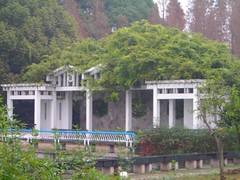 Miracle Garden 3