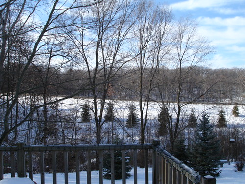 My Winter View