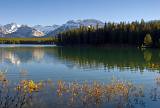 Lorette Ponds