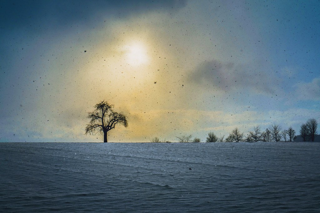The dark side of the snow