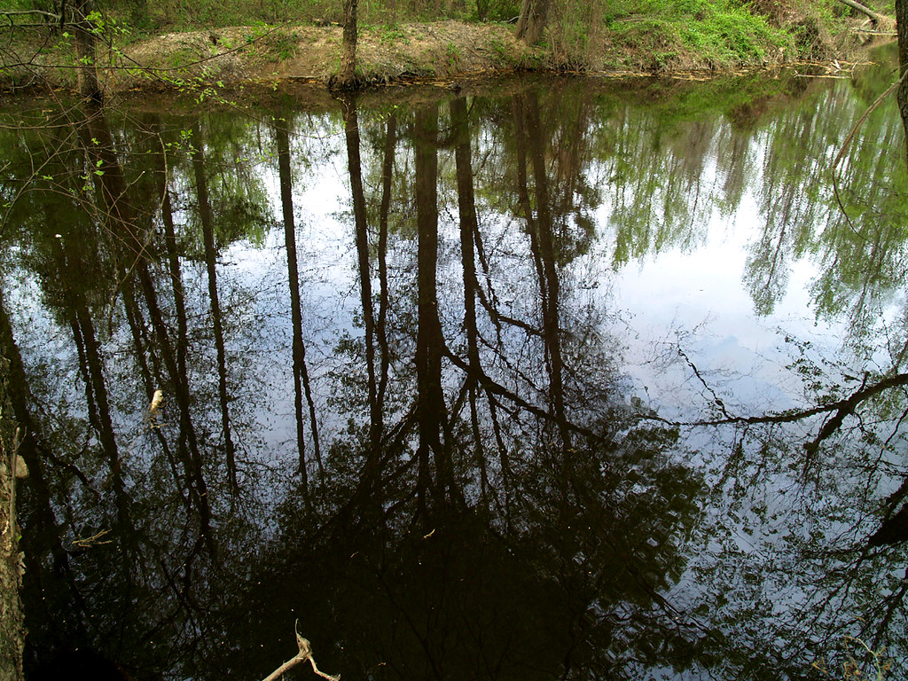 Bayou Bartholomew